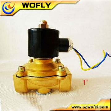 1inch 12v / 24v / 220v / 230v Spule Solenoid Wasserventil normal schließen / offen G / NPT 0 ~ 10bar